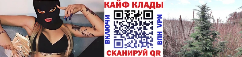 Сколько стоит Гатчина Конопля Меф мяу мяу АМФЕТАМИН Псилоцибиновые грибы ГАШИШ