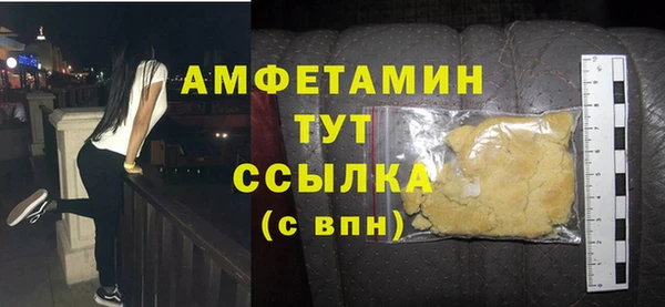 индика Беломорск
