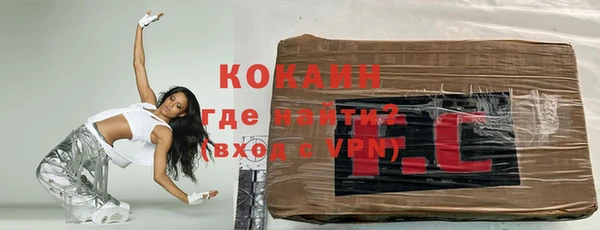 индика Беломорск