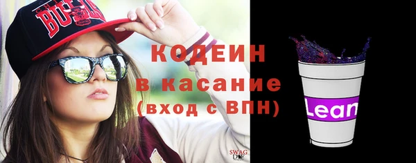 индика Беломорск