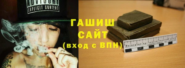 индика Беломорск