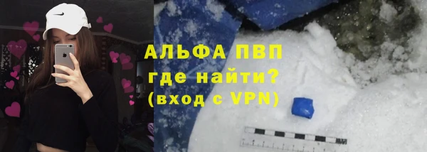 индика Беломорск