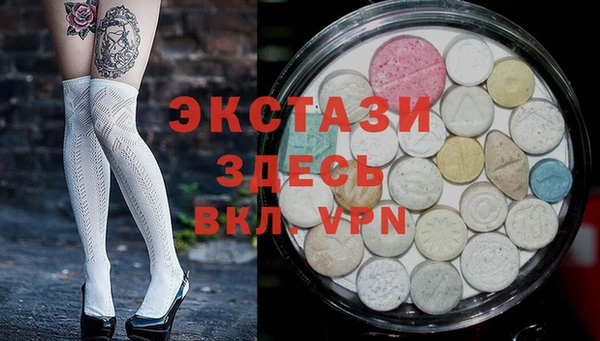 индика Беломорск