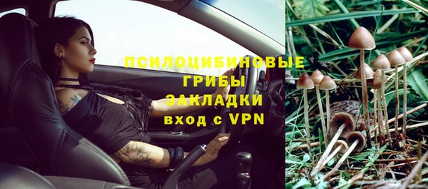 кокаин Белокуриха