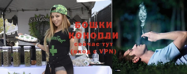 индика Беломорск