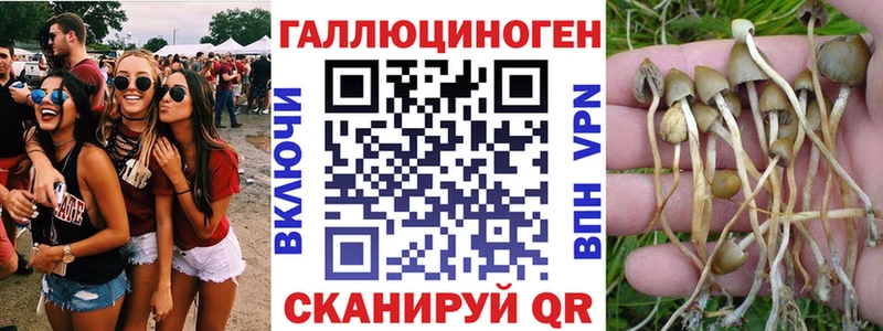 Галлюциногенные грибы MAGIC MUSHROOMS ссылка на мегу tor Гатчина